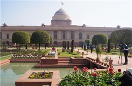 Mughal Gardens – xứ sở của cây và hoa